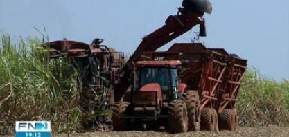 Condições climáticas favorecem colheita da cana-de-açúcar no Oeste Paulista