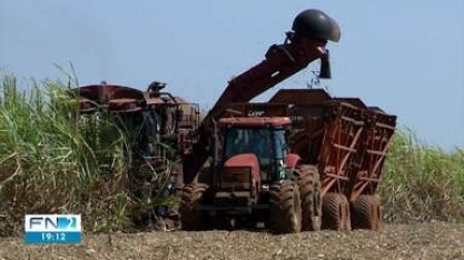 Condições climáticas favorecem colheita da cana-de-açúcar no Oeste Paulista