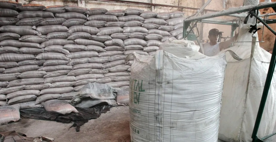 Preço do açúcar nas usinas paulistas iniciou o mês de setembro com forte alta. Foto: REUTERS/Sergio Moraes