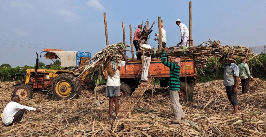 Trabalhadores de uma usina de açúcar carregam cana-de-açúcar colhida em um carrinho trator no distrito de Sangli, no estado de Maharashtra, Índia, 3 de dezembro de 2022. REUTERS/Rajendra Jadhav/File Photo Acquire Licensing Rights