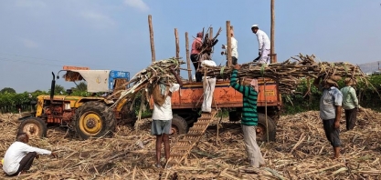 Produção de açúcar em Maharashtra, na Índia, deve cair à mínima de quatro anos
