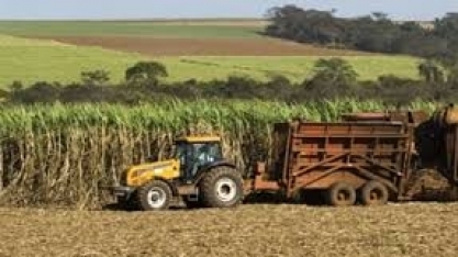 Datagro prevê recordes para moagem de cana e produção de açúcar do centro-sul em 23/24