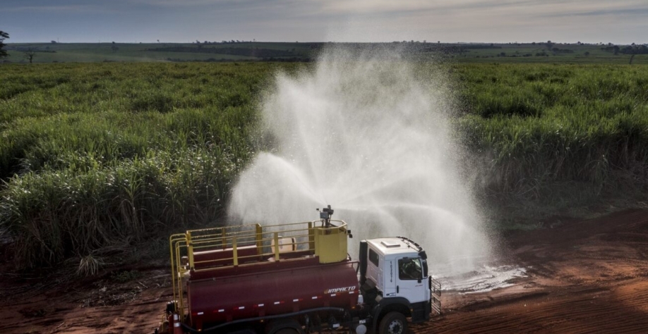 CRÉDITO FOTO: BP BUNGE BIOENERGIA