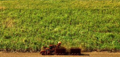 Posicionamento da Unica sobre medida da Comissão Europeia para importações de etanol