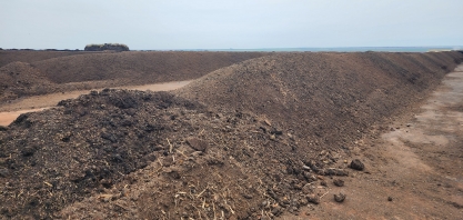 O emprego da torta de filtro nos canaviais