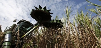 Raízen vê melhora nas margens da distribuição e forte contribuição do E2G em lucro futuro