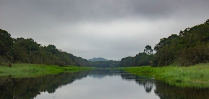 Empresa de Ribeirão Preto se destaca no Mercado de Preservação Ambiental brasileiro.