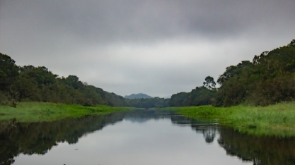 Empresa de Ribeirão Preto se destaca no Mercado de Preservação Ambiental brasileiro.