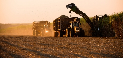 Relatório Quinzenal da Safra Canavieira Centro-Sul na segunda quinzena de agosto