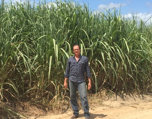  Alexandre Andrade Lima será nosso guia nas visitas que faremos na Coaf e Coofsul