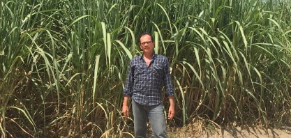 Usinas COAF e COOAFSUL receberão visita da CanaOnline