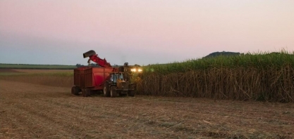 Setor sucroalcooleiro é destaque nas exportações do agro paulista
