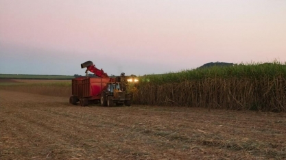 Setor sucroalcooleiro é destaque nas exportações do agro paulista