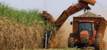 Ministros de Agricultura das Américas discutem desafios para o agronegócio