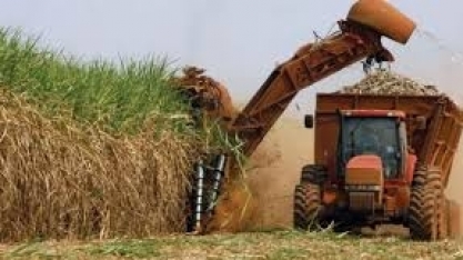 Ministros de Agricultura das Américas discutem desafios para o agronegócio