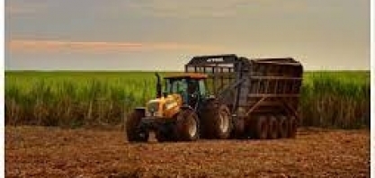 Raízen já processou 57 mi t de cana na safra 2023/24, diz CEO