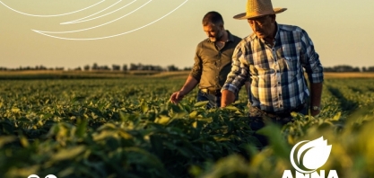 Como controlar os nematoides no ciclo da soja