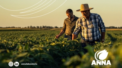 Como controlar os nematoides no ciclo da soja
