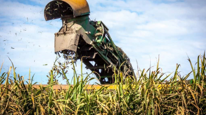 Campo Futuro debate melhoria da gestão na propriedade rural