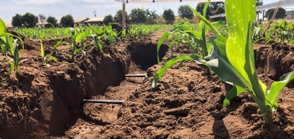 Irrigação em grãos: tecnologia fundamental para agricultores irrigantes e futuros irrigantes