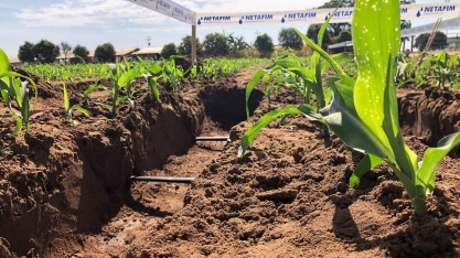 Irrigação em grãos: tecnologia fundamental para agricultores irrigantes e futuros irrigantes