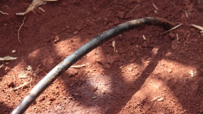 Netafim contribui com o impulsionamento da irrigação durante FiiB 2023, a maior feira internacional do setor no Brasil