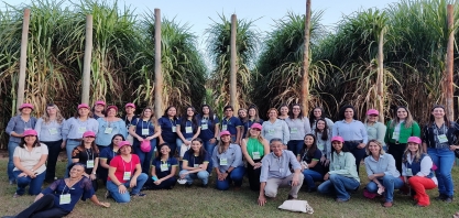 Grupo Fitotécnico do IAC será parceiro de conteúdo do livro Cana de Tudo: do Açúcar ao Infinito