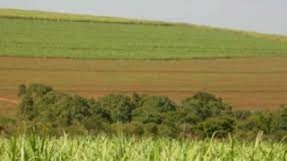 RenovaBio: ANP fará consulta pública sobre normas para certificação de biocombustíveis 