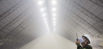 Açúcar: expectativa gira em torno de 32 centavos de dólar por libra-peso