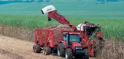 Moagem de cana-de-açúcar em Minas atinge 62,1 milhões de toneladas em setembro