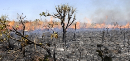 El Niño adiou o início da temporada do fogo no Cerrado, mas próximos meses exigirão alerta, segundo especialistas da UFMG