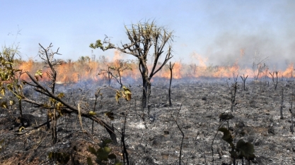 El Niño adiou o início da temporada do fogo no Cerrado, mas próximos meses exigirão alerta, segundo especialistas da UFMG