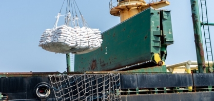 Safra global 23/24 de açúcar deve apresentar déficit