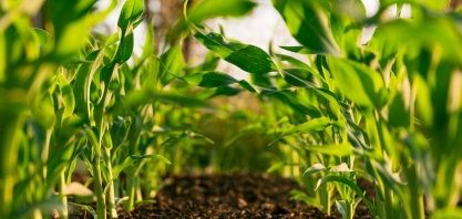 CCAS destaca importância do 'Fórum Bioinsumos no Agro', que acontece na próxima semana