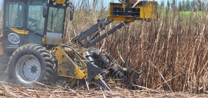 Produção agrícola pode diminuir se onda de calor continuar em AL, aponta engenheiro agrônomo
