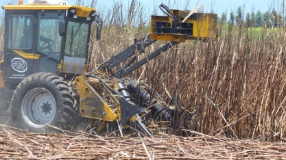 Produção agrícola pode diminuir se onda de calor continuar em AL, aponta engenheiro agrônomo