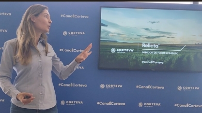 Cana-de-Açúcar conta com produto específico para inibir o florescimento e isoporização