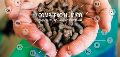 Organominerais peletizados garantem que todos os nutrientes sejam liberados de forma constante, gradativa e homogênea no campo