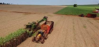 Colheita de cana-de-açúcar avança com expectativa de crescimento no Paraná 