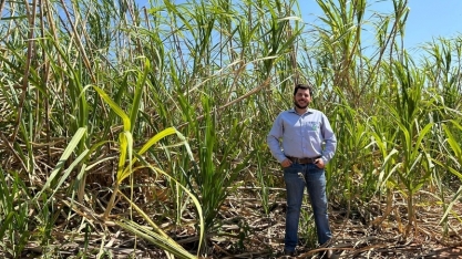 Manejo biológico auxilia produtor a atingir 120 toneladas de cana-de-açúcar por hectare (TCH) na safra 2023/24