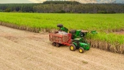 Guerra em Gaza impacta custos agrícolas da safra de cana 2023/24 no Brasil
