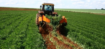 Muito além da soja: Brasil se destaca na exportação de amendoim com alta de 40% em 3 anos
