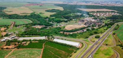 Novos combustíveis: de volta aos fundamentos e à boa fotossíntese