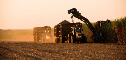 Com maior volume de cana e bons preços do açúcar, vai ser difícil parar a safra canavieira 23/24