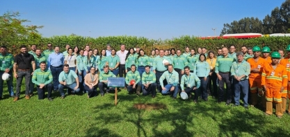 BP Bunge doa 3 mil mudas a projeto de formação de bosques em Minas Gerais