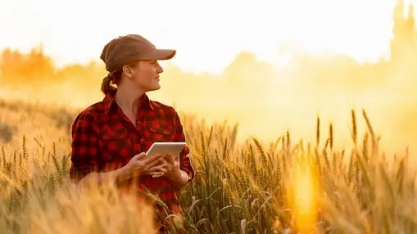  Estudantes e professores universitários desenvolvem aplicativo para ajudar pequenos agricultores na gestão de suas lavouras