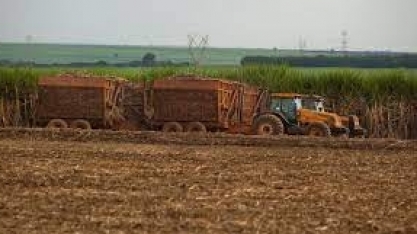 Valor da Produção Agropecuária é de R$ 1,150 trilhão neste ano