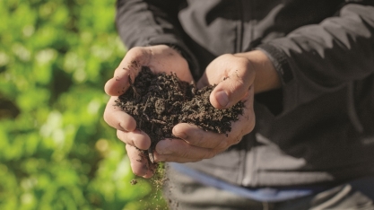 Bayer, Embrapa e especialistas apresentam avanços científicos para impulsionar a agricultura de baixo carbono