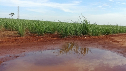 Chuvas de outubro deverão reduzir ATR no Centro-Sul