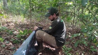 CRV Industrial cuida da fauna